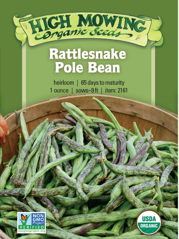 Rattlesnake Pole Bean Organic Seeds 1 Rattlesnake Pole Bean Organic Seeds