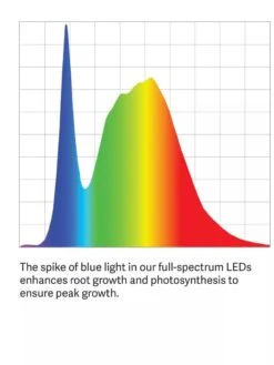 Medium Bamboo LED Grow Light Garden -The Garden Shop LED ColorSpectrum grid PDP