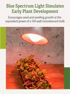 Miracle LED® Absolute Daylight™ Max Flowering Grow Light Bulb -The Garden Shop Miracle Daylight Bulb 4