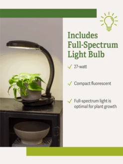 Agrobrite Desktop Plant Light 12 Agrobrite Desktop Plant Light -The Garden Shop webimage Agrobrite Desktop